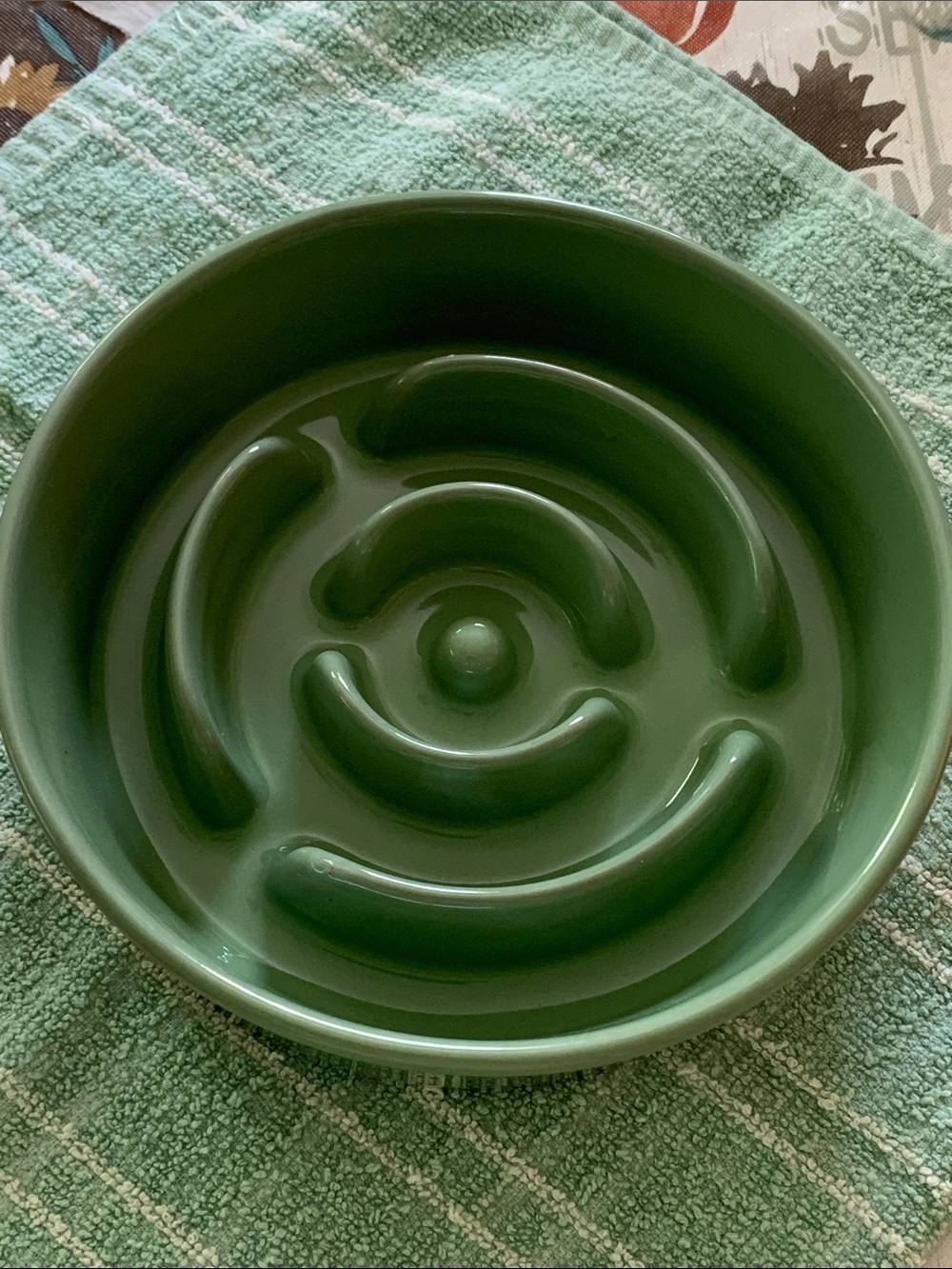 Ceramic Slow Feeder Bowl in Deep Green